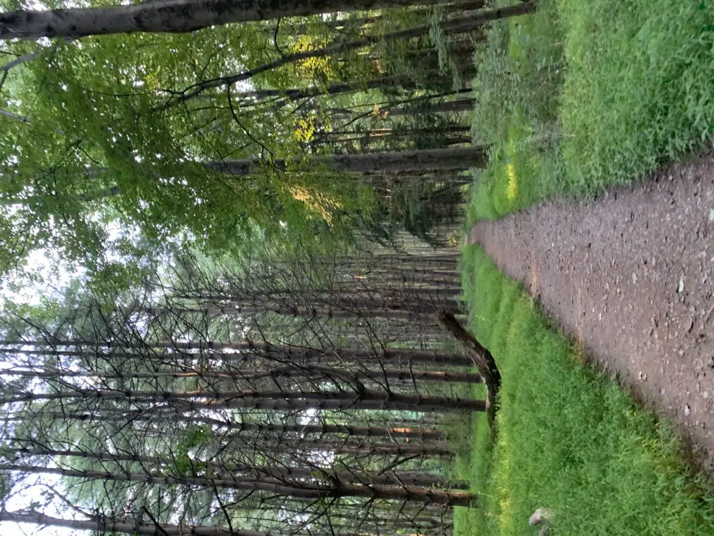 Baltimore County Walk and talk Therapy 2 7414185F C2D6 4DB4 81EB 0DD068D7CE76